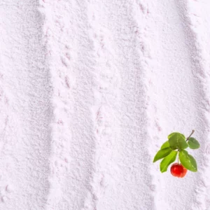Acerola Pulver