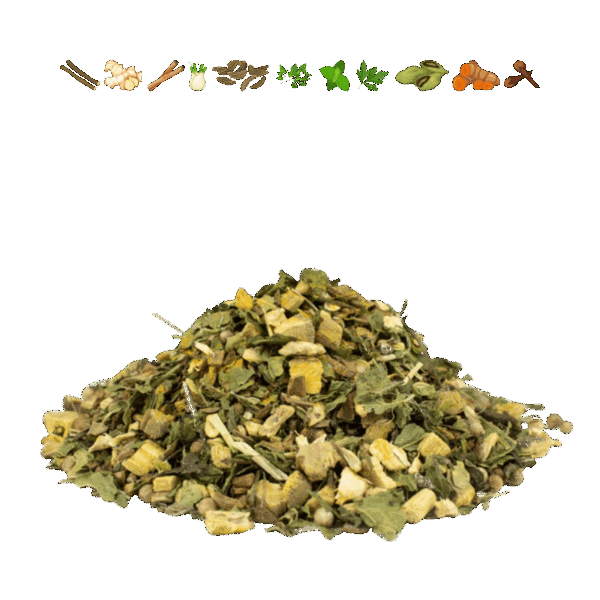 Ayurveda Pitta Kräuter- und Gewürztee