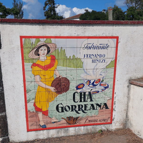 Teeplantage Chá Gorreana