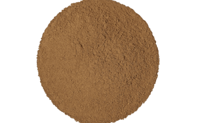 Houjicha, Hojicha oder Hōjicha?