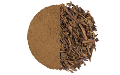 Hojicha