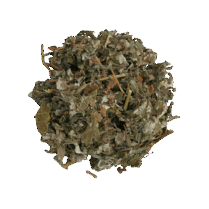 Himbeerblätter Tee – mild, aromatisch und wohlschmeckend
