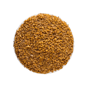 Soba Cha – gebackener Buchweizen Tee